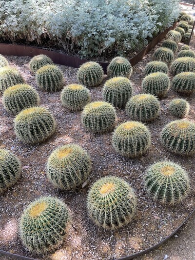 Book Your Free Consult