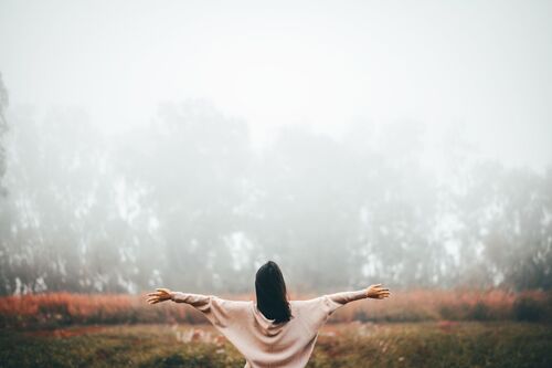 Iris Wang